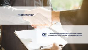 „COTTON V&K“